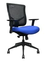 Highmark Mesh Task Chair (Blue/Black)