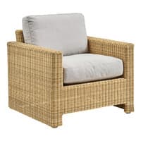 Sixty Lounge Chair w/Cushion