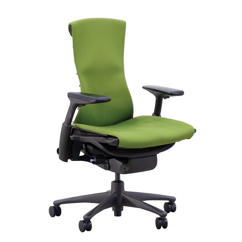 Embody Chair